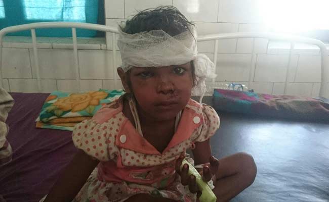 Bihar Counts Its Losses in Earthquake, Schools Closed Till Tuesday