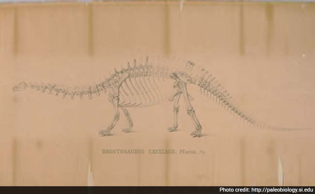 'Most Charismatic' Dinosaur of All Time is Back