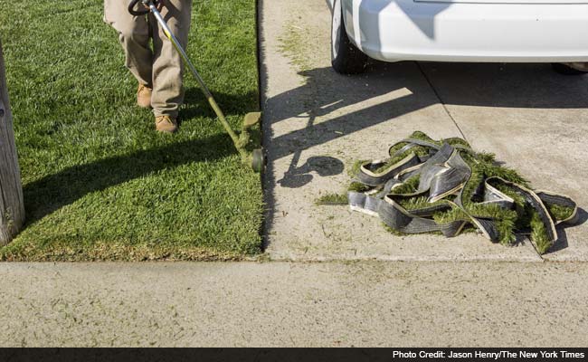 Green Grass for California (No Watering)