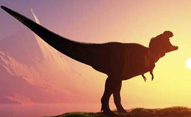 Tyrannosaurs Were Cannibals: Study