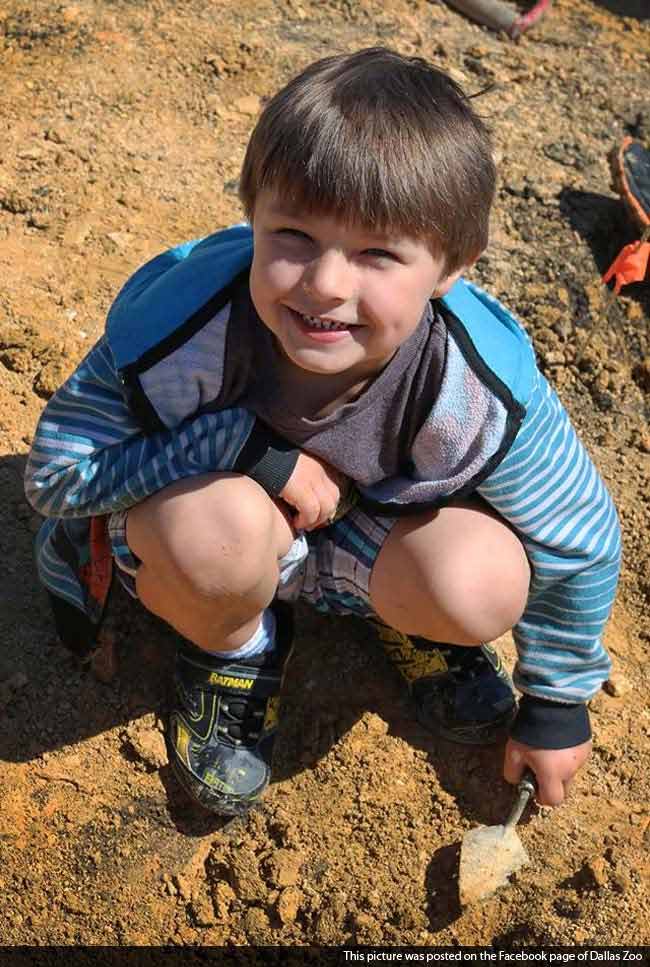 Five-Year-Old Discovers Rare Dinosaur Fossil From Jurassic Period