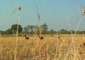 शरद शर्मा की खरी खरी : दिल्ली के किसान