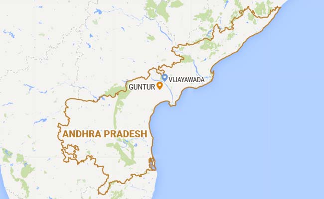Stray Dogs Maul 6-Year-Girl to Death in Andhra Pradesh