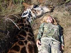 Female Hunter Faces Charge of the Twitter Brigade Over Photo With Dead Giraffe
