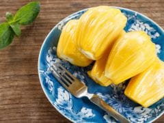 Jackfruit Seeds, A Powerhouse Of Nutrients: Lesser-Known Health Benefits You Need To Know