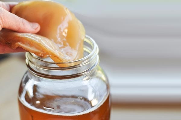 Kombucha: A Probiotic Super Drink That Is Healthful As Well As Delicious