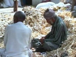 With Losses in Farming, Madhya Pradesh's Gen Next Exploring Other Options With Losses in Farming, Madhya Pradesh's Gen Next Exploring Other Options