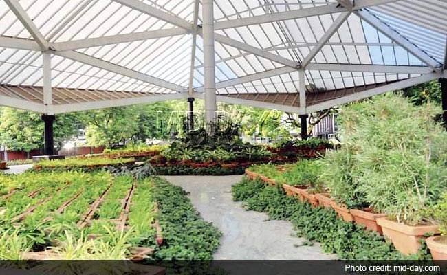 10-Acre Garden in the Heart of Mumbai is Ready, But You Can't Go There