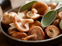 15 Best Mushroom Recipes | Easy Mushroom Recipes