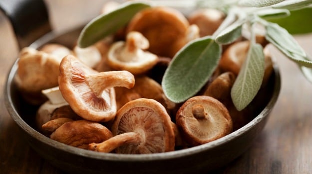 How to Cook Mushrooms: From Morels to Portobello and Shiitake