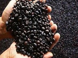 A Very Exclusive Coffee Kick on St Helena Island A Very Exclusive Coffee Kick on St Helena Island