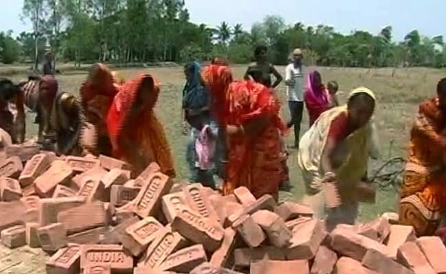 In Bengal's Sundarbans, a Road Built With Voluntary Labour