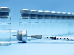 डेंगू की सबसे कारगर वैक्‍सीन खोजी गई, बंदरों पर चल रहा सफल परीक्षण