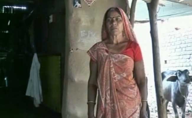 58-Year-Old Woman Rescues Her Daughter From a Crocodile Near Vadodara