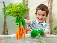 Make Kids Grow Veggies to Encourage Healthy Eating