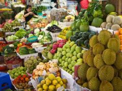 Nine Ways to Tackle Obesity and Undernutrition Nine Ways to Tackle Obesity and Undernutrition