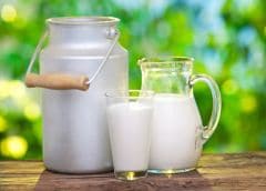 Drinking Raw Milk May Lead To Various Health Risks – Finds Study