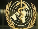 Yellow Fever Outbreak Serious But Not Global Health Emergency: WHO