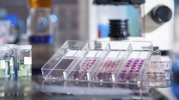 Personalised Cancer Treatment a Step Closer With World's First 'Living Biobank'