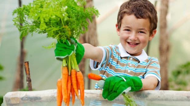 kids should grow vegetables