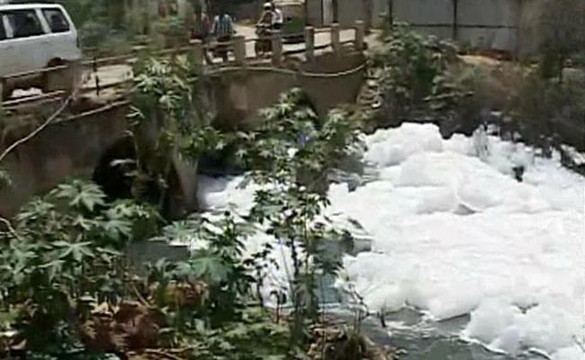 For Bengaluru's Lakes, a Glimmer of Hope