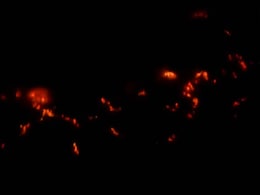 First Froth, Now Flames in a Lake in Bengaluru First Froth, Now Flames in a Lake in Bengaluru