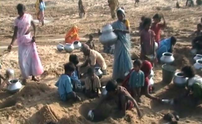 Heat Wave Drives Villagers to Dig Into River Bed