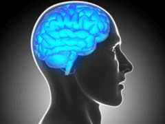 High-Fructose Diet Hampers Recovery From Brain Injury