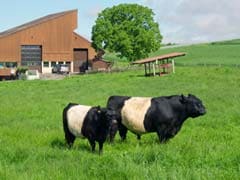 Bus Powered by Cow Manure Sets Speed Record in UK