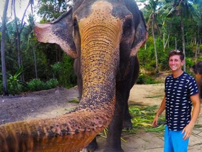 थाइलैंड में हाथी की सेल्फी 'एल्फी' नाम से हुई वाइरल