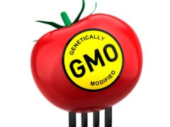 March Against Monsanto: Thousands Worldwide March to Protest Against GM Crops