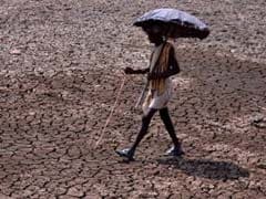 Over 750 Killed in Heat Wave; Telangana, Andhra Pradesh Worst Hit