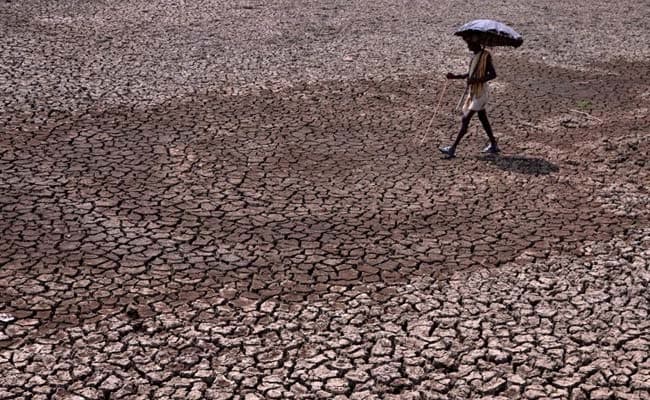 Over 750 Killed in Heat Wave; Telangana, Andhra Pradesh Worst Hit