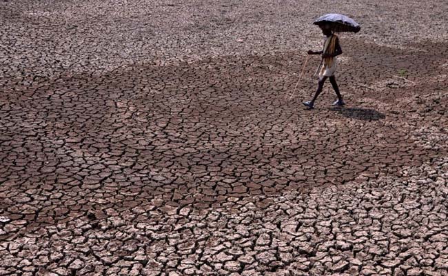 Over 750 Killed in Heat Wave; Telangana, Andhra Pradesh Worst Hit