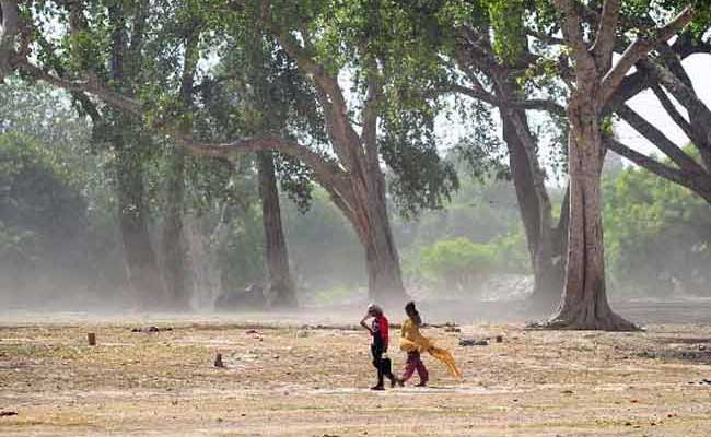 Heat Wave Kills Over 1,100 in Andhra Pradesh and Telangana