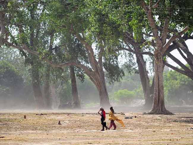 भीषण गर्मी और लू से मरने वालों की संख्या 2005 तक पहुंची