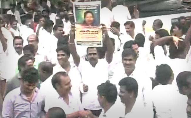 Supporters Celebrate Jayalalithaa's Acquittal Outside Her Residence in Chennai