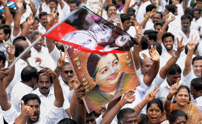 PM Narendra Modi Greets Jayalalithaa After Her Acquittal in Corruption Case