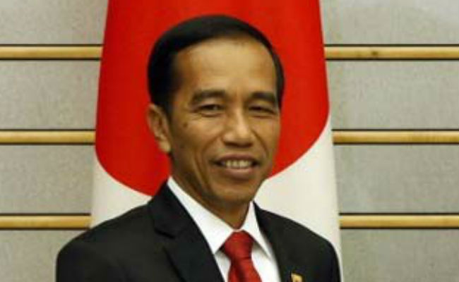 Indonesia Asks 4 Countries for Help to Fight Fires