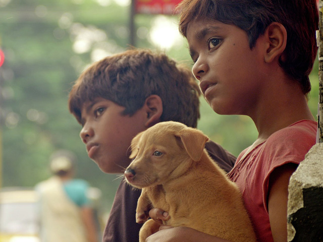 National Award Winner <i>Kaakkaa Muttai</i> to Release in June