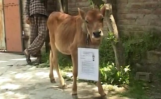 Cow Bunks Exam in Jammu and Kashmir, Despite Having Admit Card