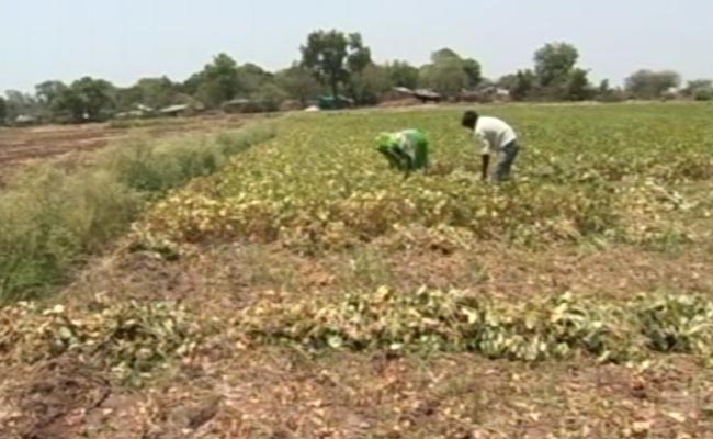 In Madhya Pradesh, Heat Wave Kills 10, Cripples Businesses