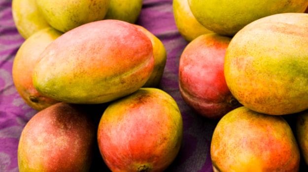 Mango Production in India Might Decline This Year
