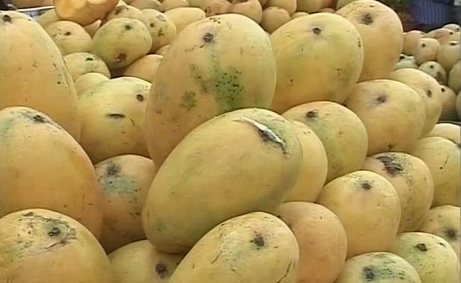 Summer is Here, but Mangoes Play Truant