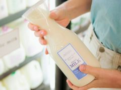 Milking It: Israel Leads the Way in Dairy Tech Milking It: Israel Leads the Way in Dairy Tech