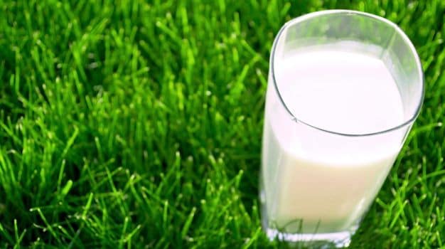 Why the US Government Tried to Steer People Away from Whole Milk