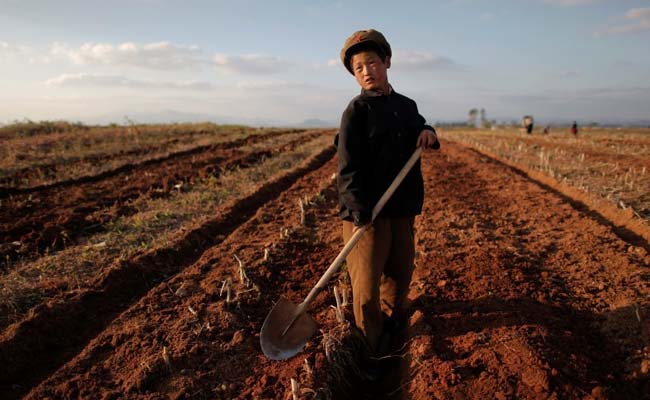 Hit by Worst Drought in 100 Years, Says North Korea