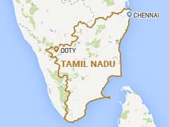 Tamil Nadu Student Hospitalised After Bear Attack