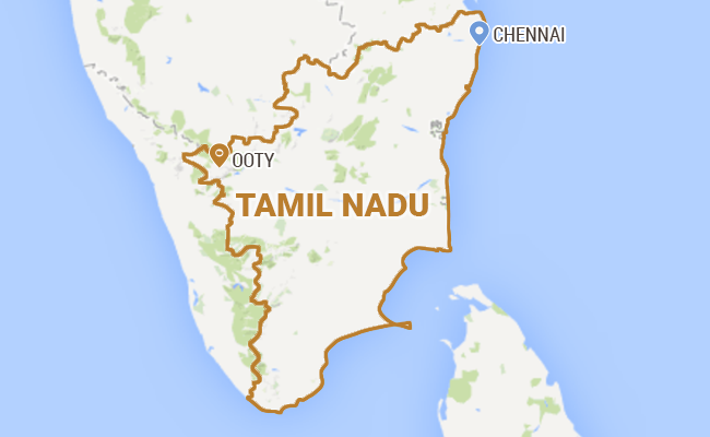 Tamil Nadu Student Hospitalised After Bear Attack