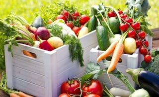 The Whole Truth About Organic Food: Is it Health or Hype?